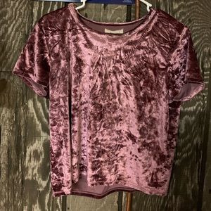 Velvet top